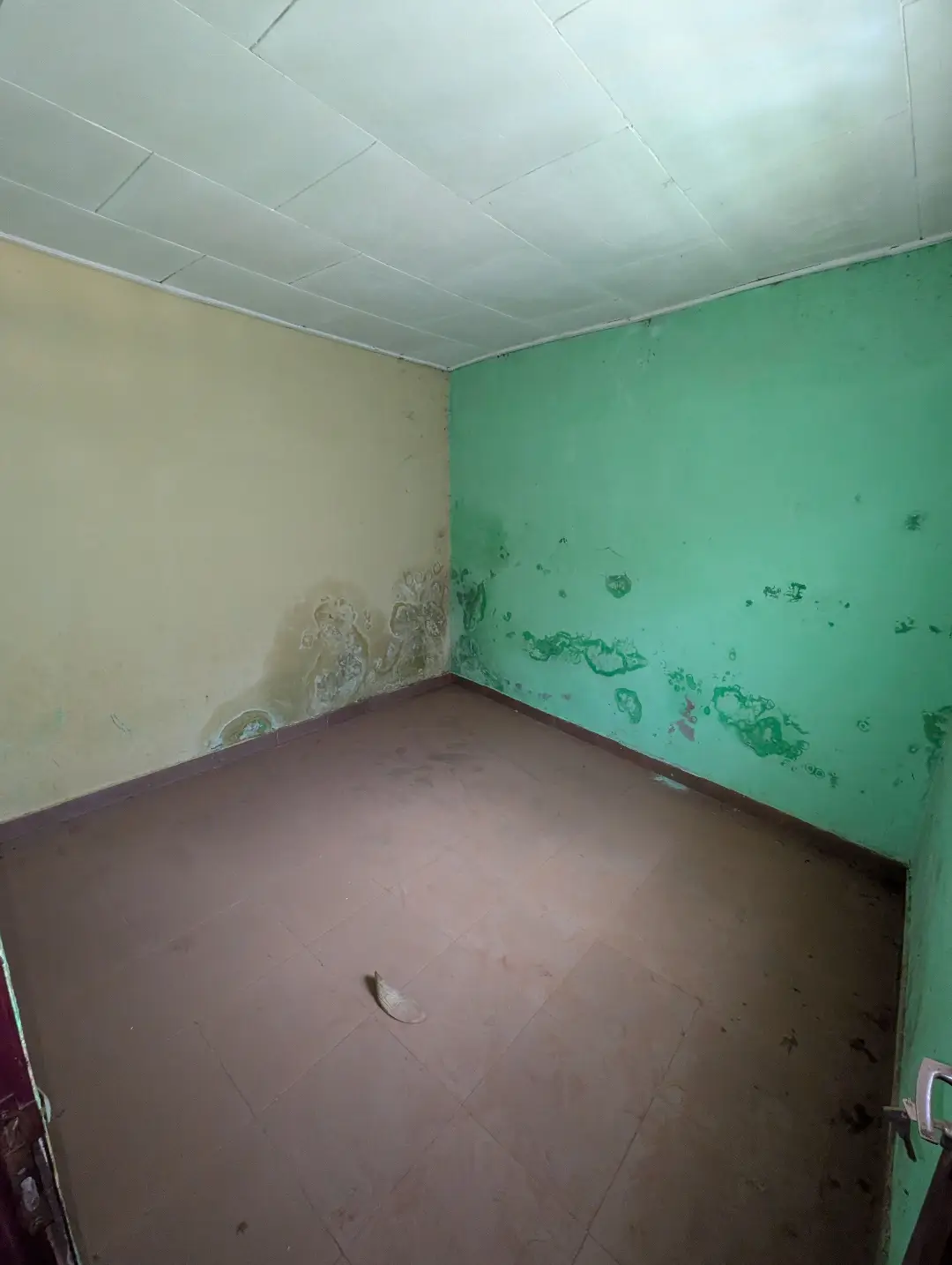 Appartement moderne à louer à Bafoussam Toket - Image 11