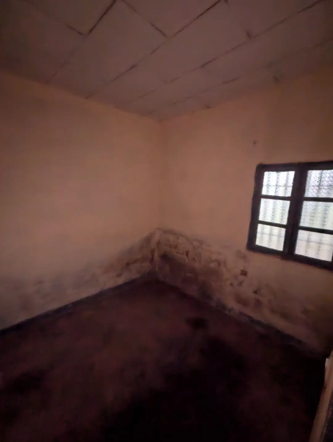 Maison moderne à louer à Bafoussam Maeture - Image 15